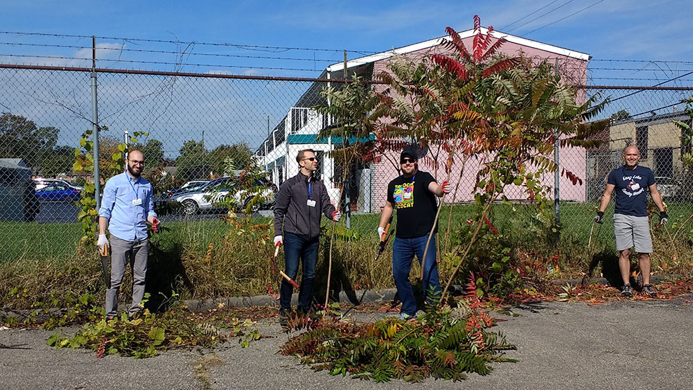 neighborhood cleanup